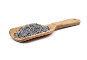 Image showing Poppy seeds on shovel