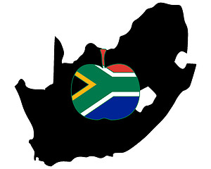 Image showing South African apple