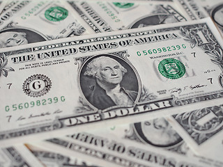 Image showing Dollar notes 1 Dollar