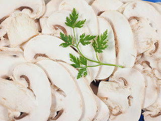 Image showing Champignon mushroom background