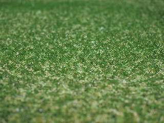 Image showing Green artificial synthetic grass meadow background