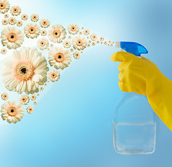 Image showing close up of hand with cleanser spraying flowers
