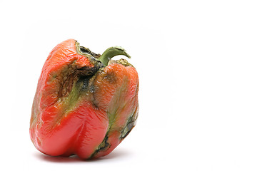 Image showing not-so-fresh bell pepper
