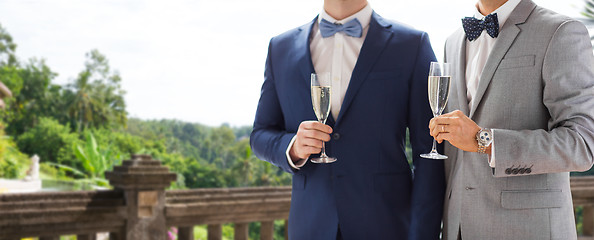 Image showing close up of male gay couple with champagne glasses