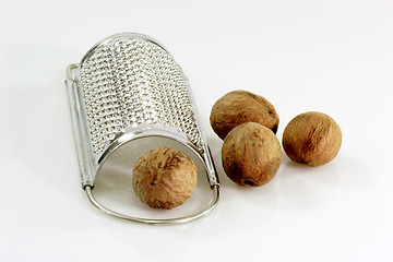 Image showing Nutmegs with Grater