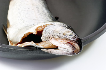 Image showing Fish head