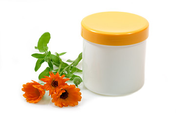 Image showing Marigold Hand-Care
