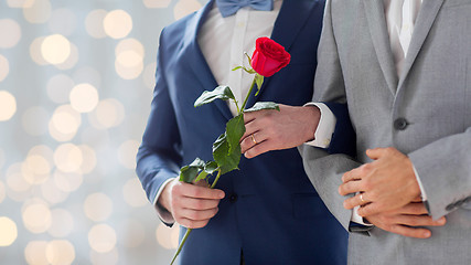 Image showing close up of happy male gay couple holding hands