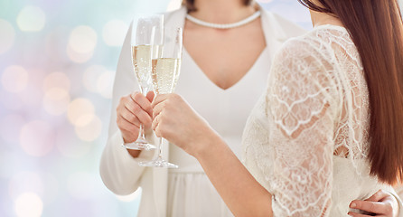 Image showing close up of lesbian couple with champagne glasses