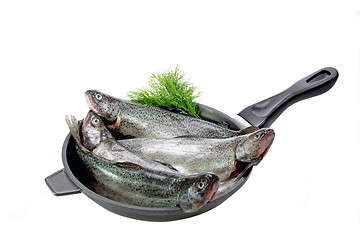 Image showing Pan with trouts