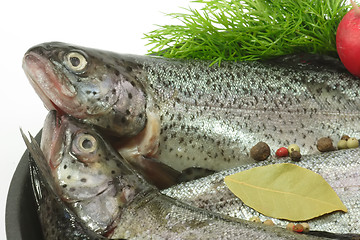 Image showing Poached Trout