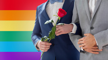 Image showing close up of happy male gay couple holding hands