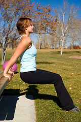 Image showing Tricep Bench Dip