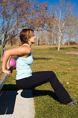 Image showing Tricep Bench Dip