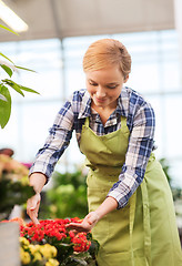 Image showing happy woman taking care of flowers in greenhouse