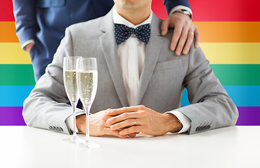 Image showing close up of male gay couple with champagne glasses