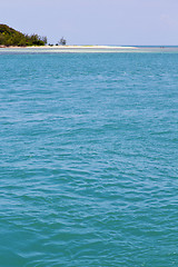 Image showing   green lagoon and tree thailand kho phangan