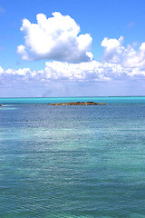 Image showing wave  in mexico froath and blue  rock