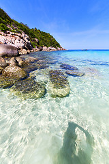 Image showing   asia in the bay kho tao    white  beach     