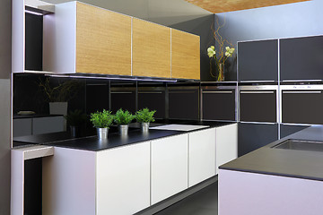 Image showing Modern new kitchen