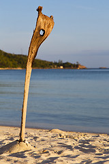 Image showing asia sunrise    kho   beach    rocks  cane  south  sea 