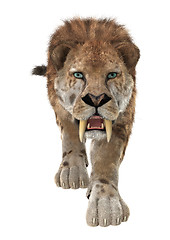 Image showing Big Cat Smilodon