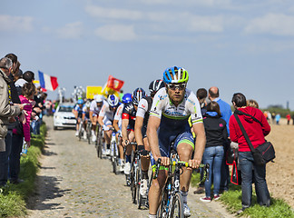 Image showing The Peloton- Paris Roubaix 2014