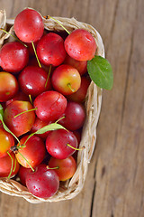 Image showing fresh mirabelle plums