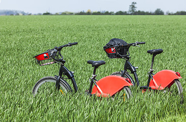 Image showing Urban Bicycles in a Green Field