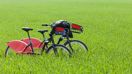 Image showing Urban Bicycles in a Green Field