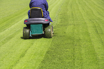 Image showing Mowing the grass 