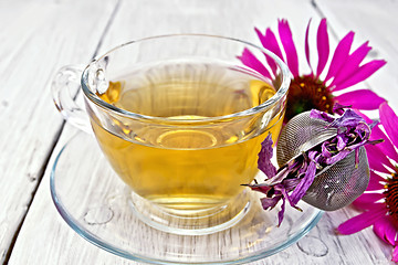 Image showing Tea Echinacea in glass cup with strainer on board