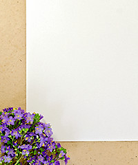 Image showing Frame purple wildflowers and paper