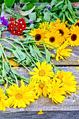 Image showing Calendula yellow on older boards