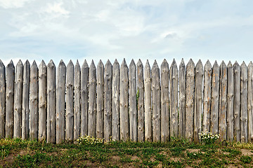 Image showing Fence log with flowers