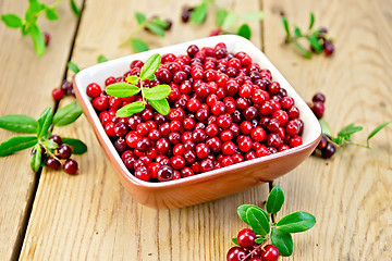 Image showing Lingonberry red in bowl on board