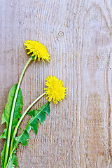 Image showing Dandelions on the old board