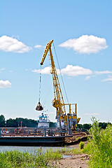 Image showing Crane river