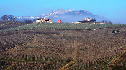 Image showing Wine farm in Piemonte, Italy