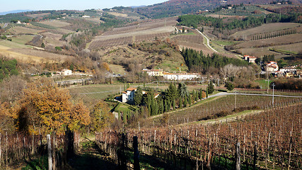 Image showing \rWineyard in the winter 					