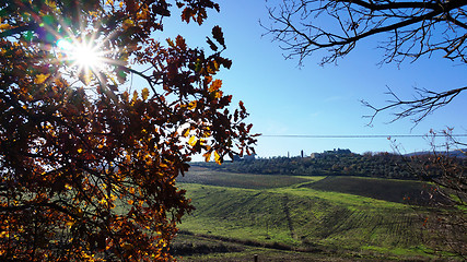 Image showing \rWineyard in the winter 					