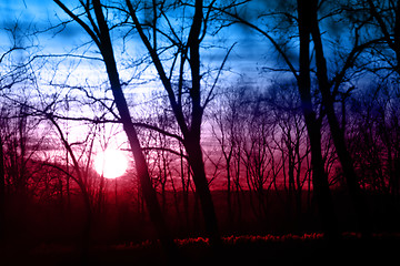 Image showing Sunset background
