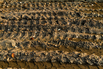 Image showing Dirty broken rural road 