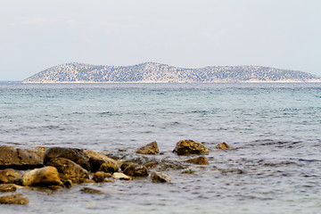 Image showing Coastline