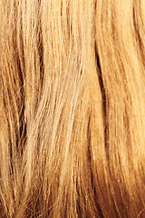 Image showing Blonde hair