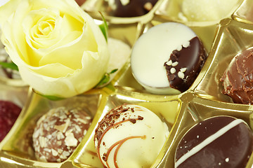 Image showing Delicious chocolate pralines