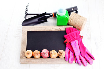 Image showing gardening tools