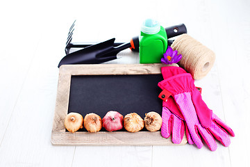 Image showing gardening tools