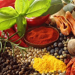 Image showing Spices and herbs