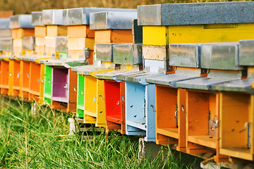 Image showing Coloured beehives